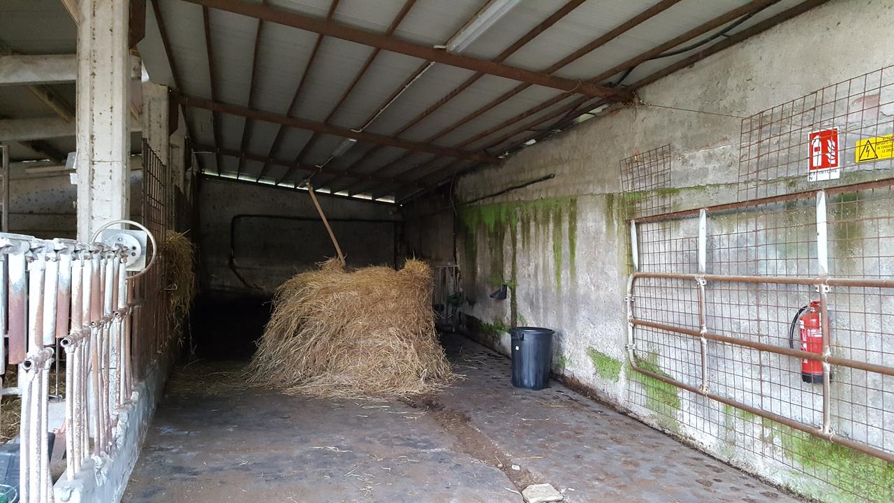 B&B Podere Montese Villafranca in Lunigiana Buitenkant foto