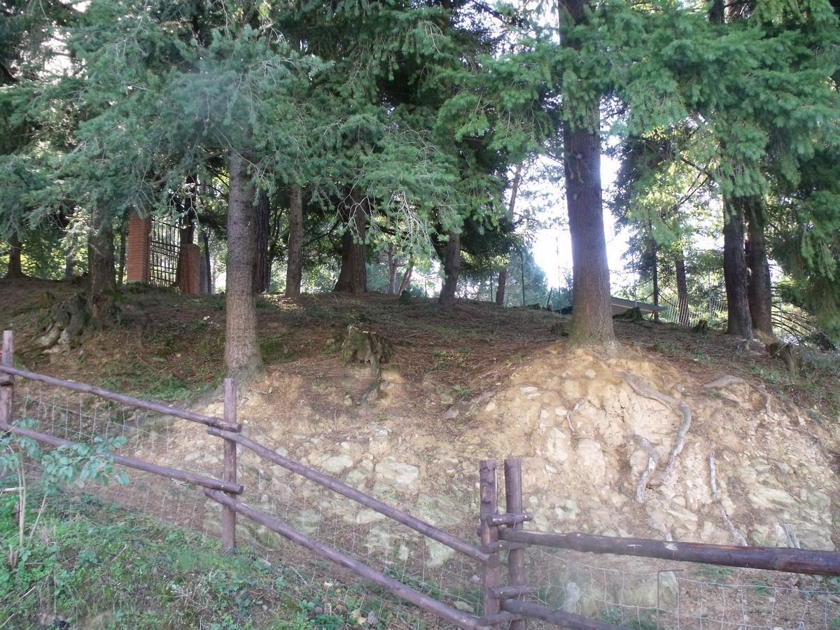 B&B Podere Montese Villafranca in Lunigiana Buitenkant foto